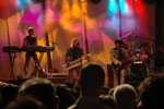 I Cugini di Campagna in concerto