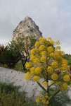 La petra di Calathansuderj