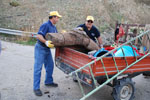 Operazione fiumi 2007